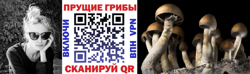 сайты даркнета состав  Орлов  Галлюциногенные грибы Magic Shrooms 